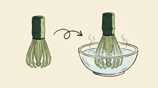 Doodle illustration of a new curled matcha whisk soaking open in a bowl of clear warm water