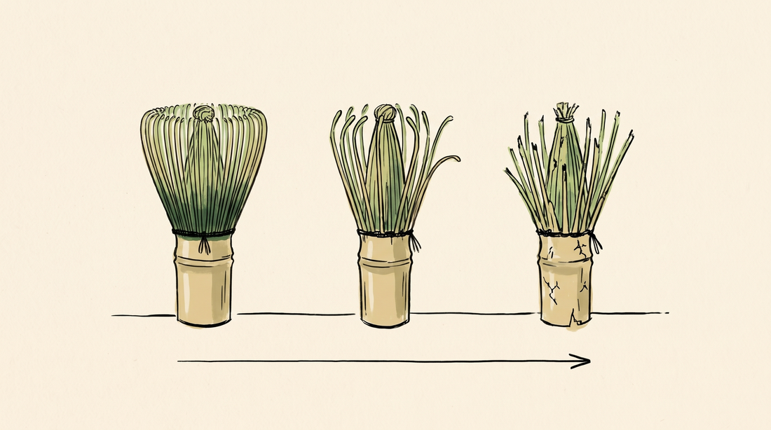 Doodle illustration of three bamboo whisks ageing from full to sparse prongs