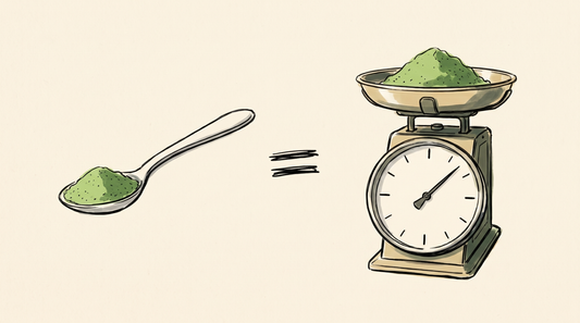Doodle illustration of a level teaspoon of matcha equalling a kitchen scale